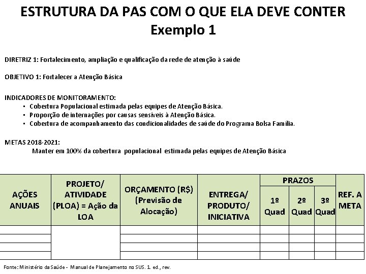  ESTRUTURA DA PAS COM O QUE ELA DEVE CONTER Exemplo 1 DIRETRIZ 1: