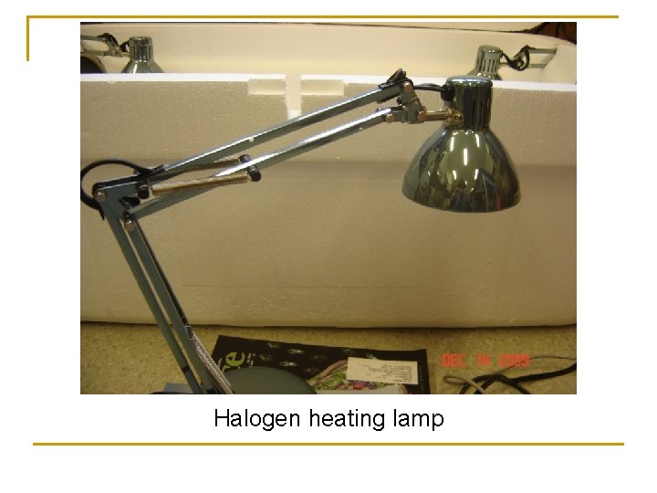 Halogen heating lamp 