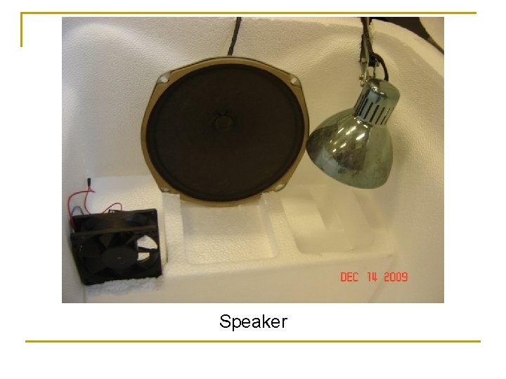 Speaker 