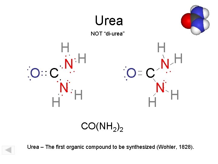 Urea NOT “di-urea” H H N O C N H H CO(NH 2)2 Urea