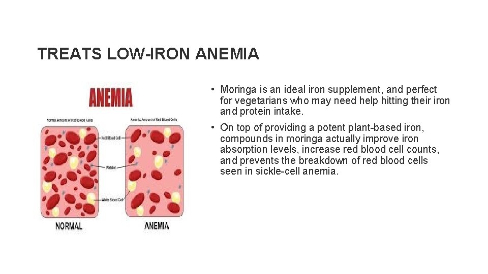 TREATS LOW-IRON ANEMIA • Moringa is an ideal iron supplement, and perfect for vegetarians