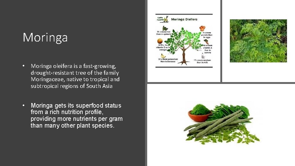 Moringa • Moringa oleifera is a fast-growing, drought-resistant tree of the family Moringaceae, native