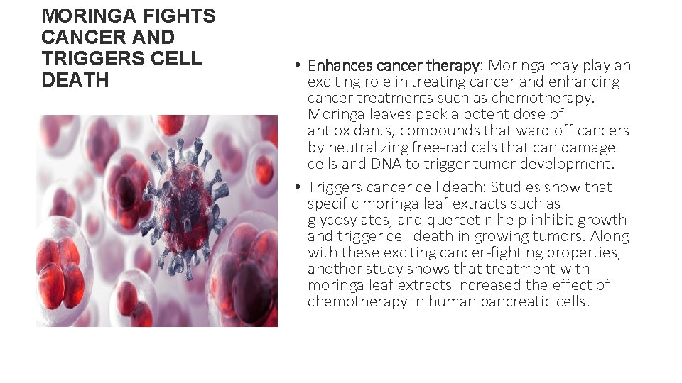 MORINGA FIGHTS CANCER AND TRIGGERS CELL DEATH • Enhances cancer therapy: Moringa may play