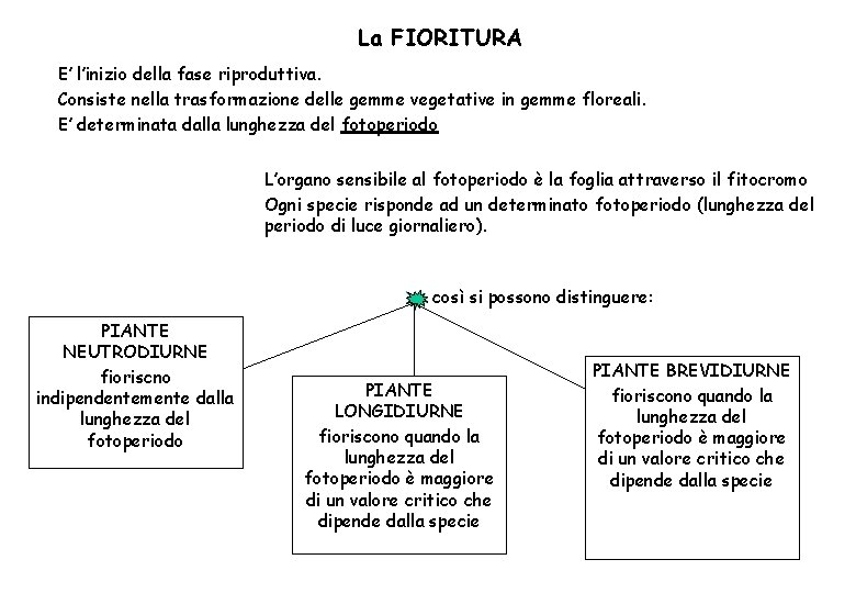 La FIORITURA E’ l’inizio della fase riproduttiva. Consiste nella trasformazione delle gemme vegetative in