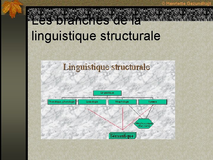 © Henriette Gezundhajt Les branches de la linguistique structurale © Henriette Gezundhajt Les branches de la linguistique structurale