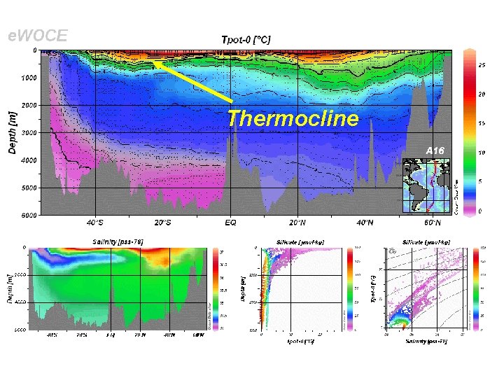 Thermocline 