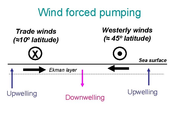 Wind forced pumping Westerly winds (≈ 45º latitude) Trade winds (≈10º latitude) X Sea
