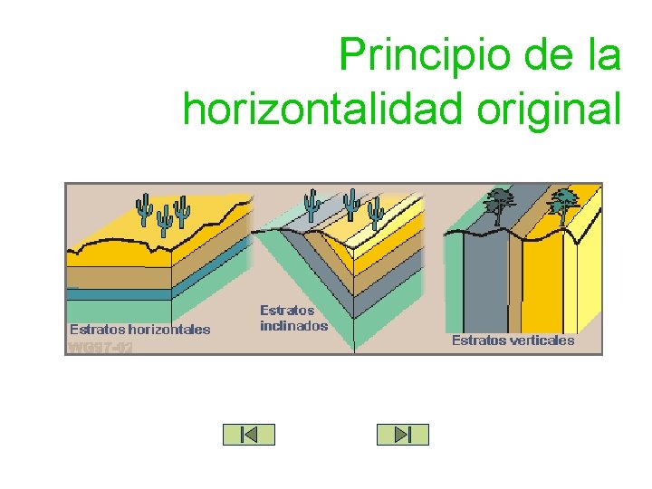 Principio de la horizontalidad original 