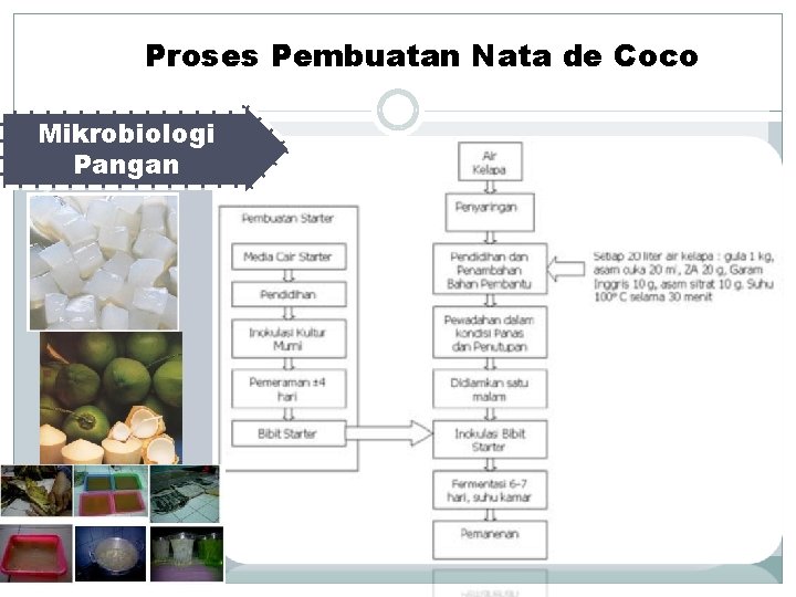 Proses Pembuatan Nata de Coco Mikrobiologi Pangan 