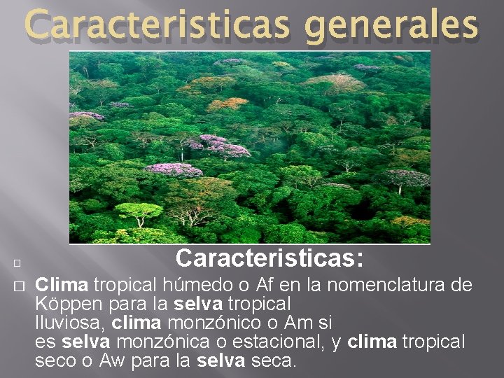 Caracteristicas generales � � Caracteristicas: Clima tropical húmedo o Af en la nomenclatura de