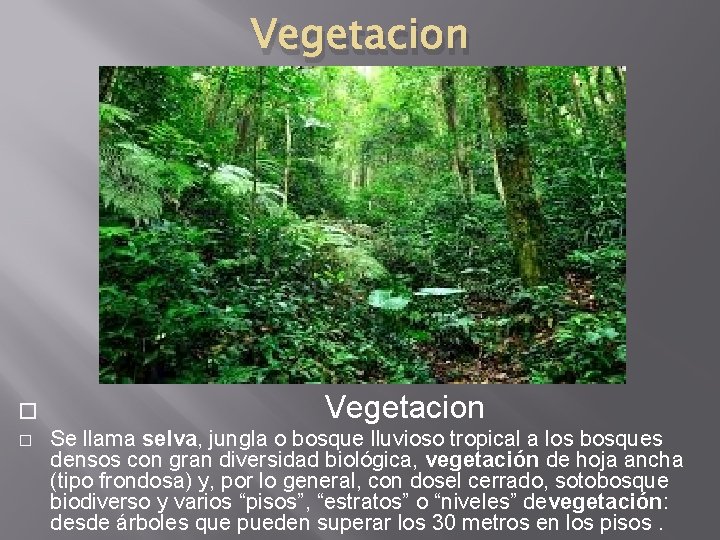 Vegetacion � � Vegetacion Se llama selva, jungla o bosque lluvioso tropical a los