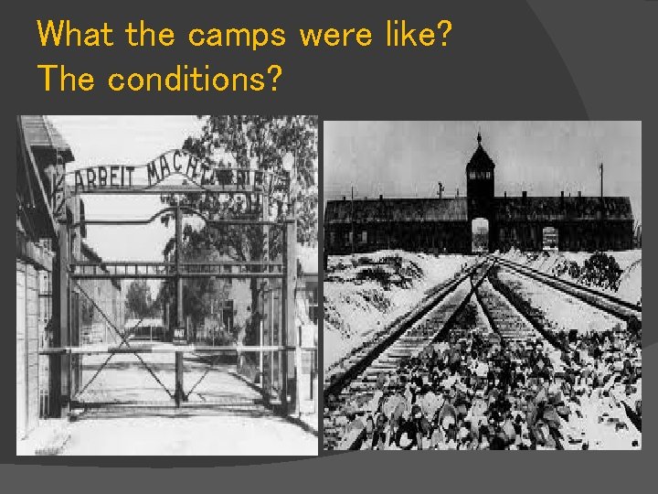 What the camps were like? The conditions? 