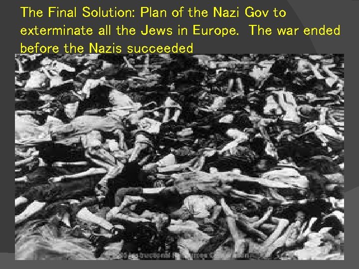 The Final Solution: Plan of the Nazi Gov to exterminate all the Jews in