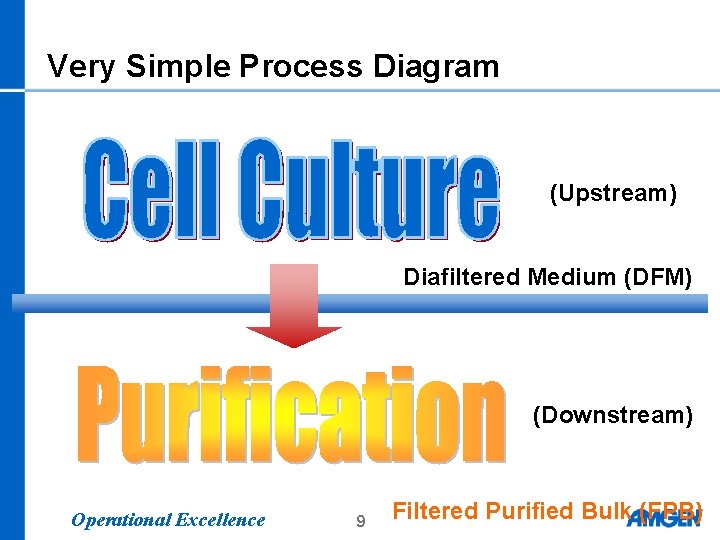 Very Simple Process Diagram (Upstream) Diafiltered Medium (DFM) (Downstream) Operational Excellence 9 Filtered Purified Very Simple Process Diagram (Upstream) Diafiltered Medium (DFM) (Downstream) Operational Excellence 9 Filtered Purified