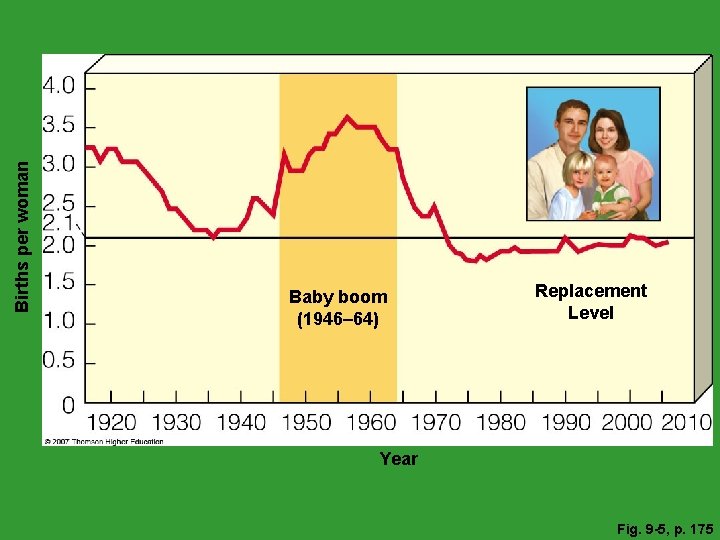 Births per woman Baby boom (1946– 64) Replacement Level Year Fig. 9 -5, p.