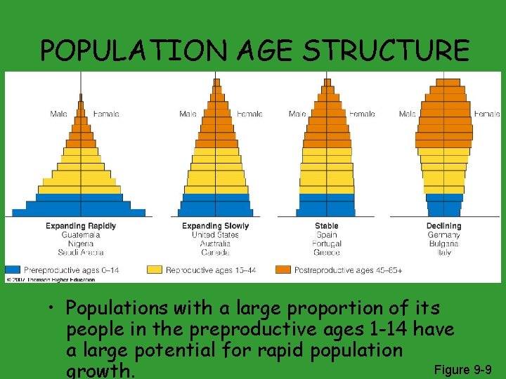 POPULATION AGE STRUCTURE • Populations with a large proportion of its people in the