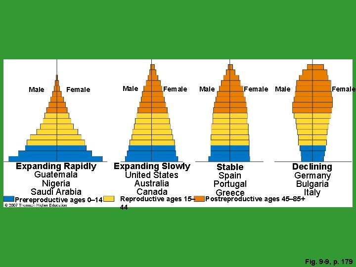 Male Female Expanding Rapidly Guatemala Nigeria Saudi Arabia Prereproductive ages 0– 14 Male Female