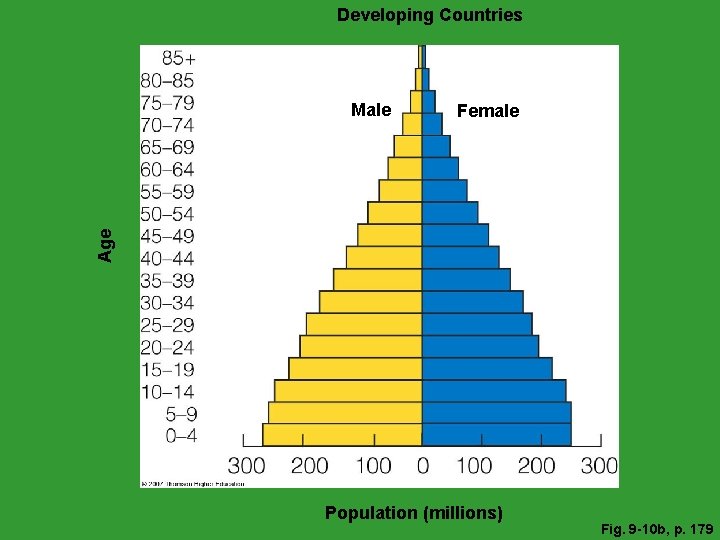 Developing Countries Female Age Male Population (millions) Fig. 9 -10 b, p. 179 