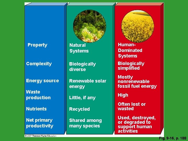 Natural Systems Human. Dominated Systems Complexity Biologically diverse Biologically simplified Energy source Renewable solar