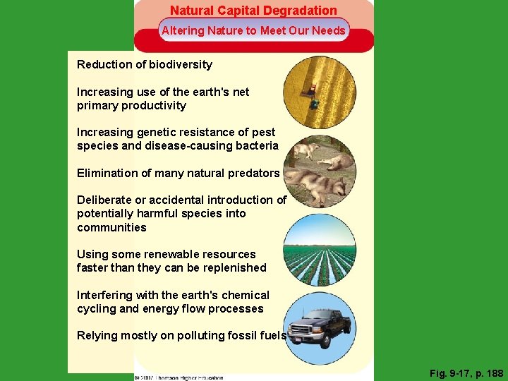Natural Capital Degradation Altering Nature to Meet Our Needs Reduction of biodiversity Increasing use