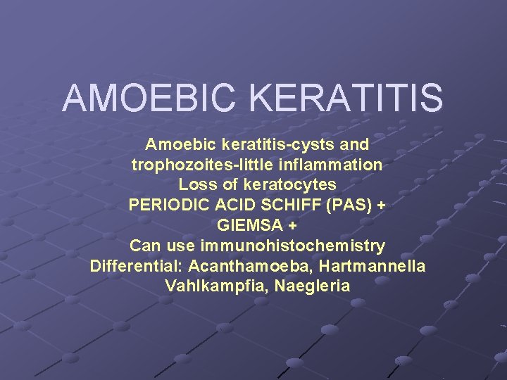 AMOEBIC KERATITIS Amoebic keratitis-cysts and trophozoites-little inflammation Loss of keratocytes PERIODIC ACID SCHIFF (PAS)