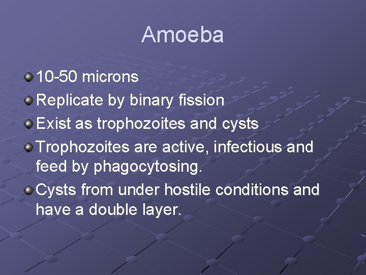 Amoeba 10 -50 microns Replicate by binary fission Exist as trophozoites and cysts Trophozoites