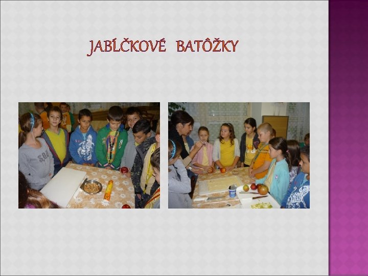 JABĹČKOVÉ BATÔŽKY JABĹČKOVÉ BATÔŽKY