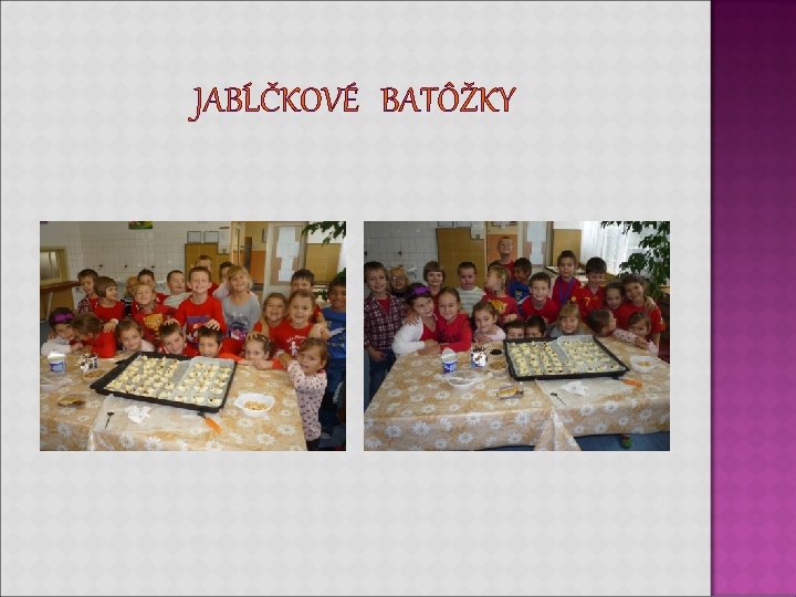 JABĹČKOVÉ BATÔŽKY JABĹČKOVÉ BATÔŽKY