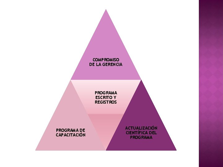 COMPROMISO DE LA GERENCIA PROGRAMA ESCRITO Y REGISTROS PROGRAMA DE CAPACITACIÓN ACTUALIZACIÓN CIENTÍFICA DEL