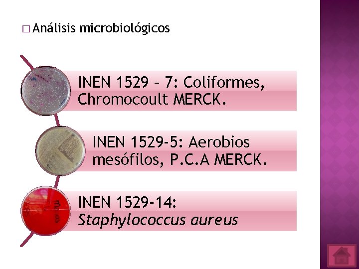 � Análisis microbiológicos INEN 1529 – 7: Coliformes, Chromocoult MERCK. INEN 1529 -5: Aerobios