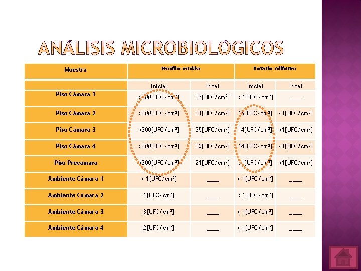 Muestra Mesófilos aerobios Bacterias coliformes Inicial Final Piso Cámara 1 >300[UFC/cm 2] 37[UFC/cm 2]