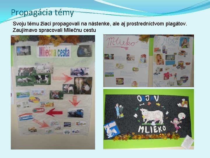 Propagácia témy Svoju tému žiaci propagovali na nástenke, ale aj prostredníctvom plagátov. Zaujímavo spracovali Propagácia témy Svoju tému žiaci propagovali na nástenke, ale aj prostredníctvom plagátov. Zaujímavo spracovali