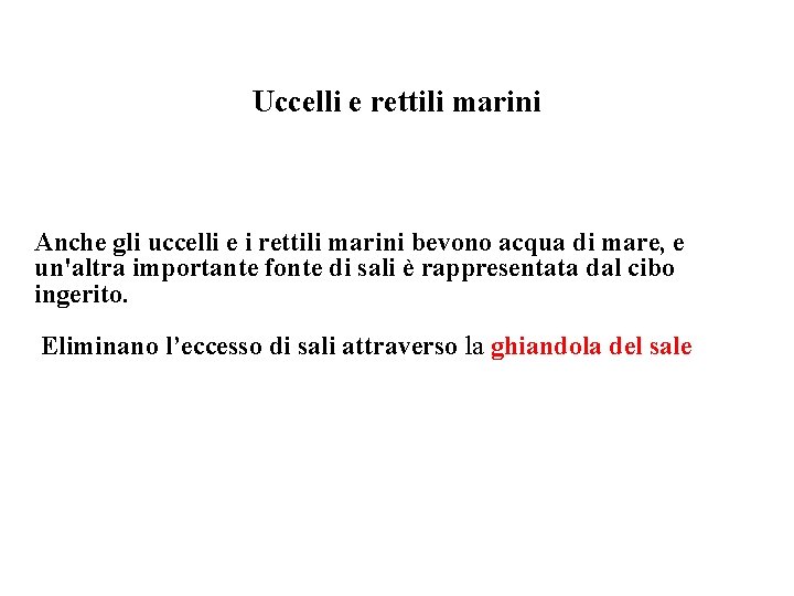 Uccelli e rettili marini Anche gli uccelli e i rettili marini bevono acqua di