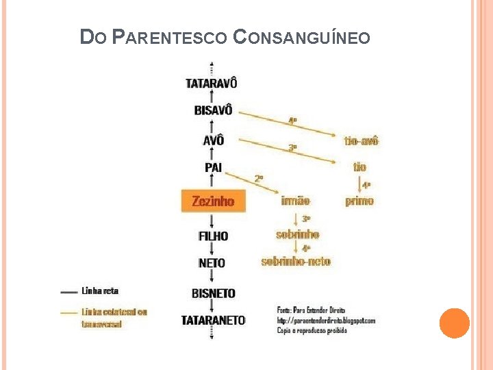 DO PARENTESCO CONSANGUÍNEO DO PARENTESCO CONSANGUÍNEO