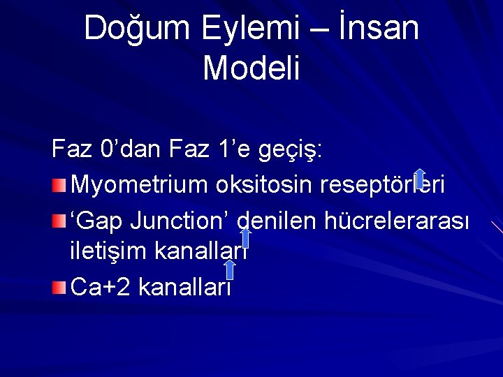 Doğum Eylemi – İnsan Modeli Faz 0’dan Faz 1’e geçiş: Myometrium oksitosin reseptörleri ‘Gap