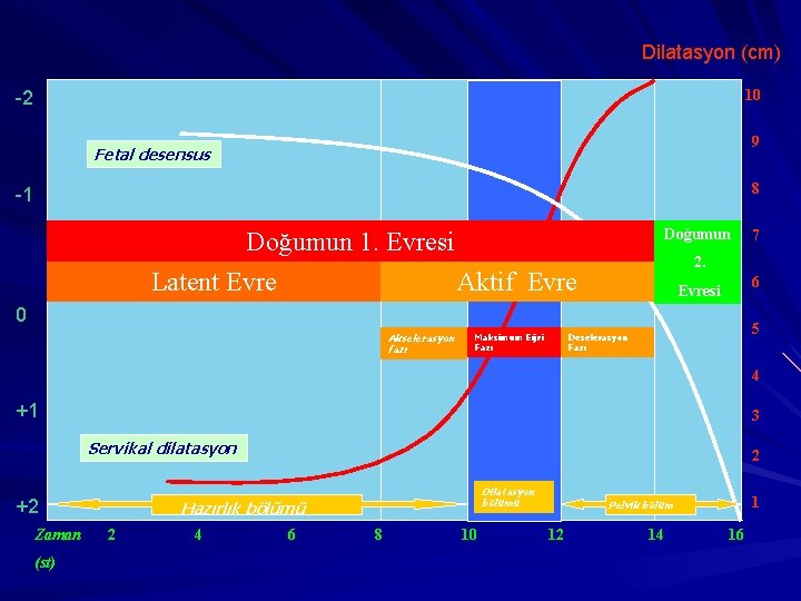 Dilatasyon (cm) 10 -2 9 Fetal desensus 8 -1 Doğumun 1. Evresi Latent Evre
