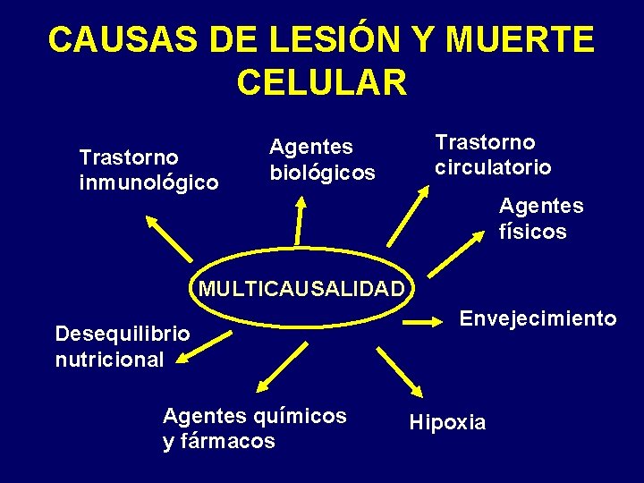 CAUSAS DE LESIÓN Y MUERTE CELULAR Trastorno inmunológico Agentes biológicos Trastorno circulatorio Agentes físicos CAUSAS DE LESIÓN Y MUERTE CELULAR Trastorno inmunológico Agentes biológicos Trastorno circulatorio Agentes físicos