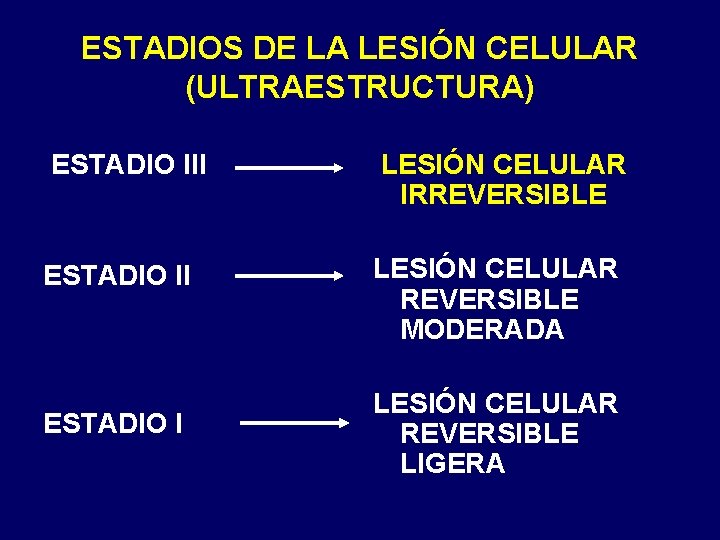 ESTADIOS DE LA LESIÓN CELULAR (ULTRAESTRUCTURA) ESTADIO III LESIÓN CELULAR IRREVERSIBLE ESTADIO II LESIÓN ESTADIOS DE LA LESIÓN CELULAR (ULTRAESTRUCTURA) ESTADIO III LESIÓN CELULAR IRREVERSIBLE ESTADIO II LESIÓN