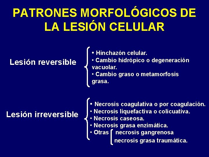 PATRONES MORFOLÓGICOS DE LA LESIÓN CELULAR • Hinchazón celular. Lesión reversible • Cambio hidrópico PATRONES MORFOLÓGICOS DE LA LESIÓN CELULAR • Hinchazón celular. Lesión reversible • Cambio hidrópico