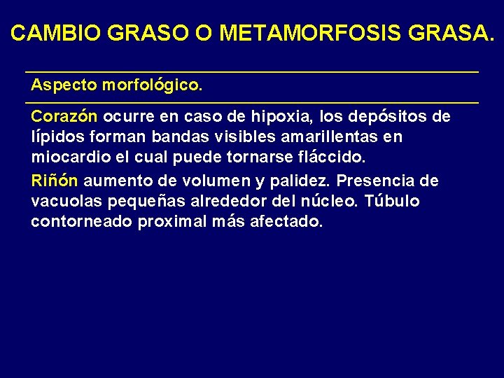 CAMBIO GRASO O METAMORFOSIS GRASA. Aspecto morfológico. Corazón ocurre en caso de hipoxia, los CAMBIO GRASO O METAMORFOSIS GRASA. Aspecto morfológico. Corazón ocurre en caso de hipoxia, los