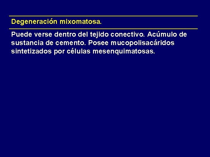 Degeneración mixomatosa. Puede verse dentro del tejido conectivo. Acúmulo de sustancia de cemento. Posee Degeneración mixomatosa. Puede verse dentro del tejido conectivo. Acúmulo de sustancia de cemento. Posee