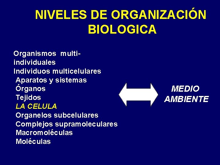 NIVELES DE ORGANIZACIÓN BIOLOGICA Organismos multiindividuales Individuos multicelulares Aparatos y sistemas Órganos Tejidos LA NIVELES DE ORGANIZACIÓN BIOLOGICA Organismos multiindividuales Individuos multicelulares Aparatos y sistemas Órganos Tejidos LA