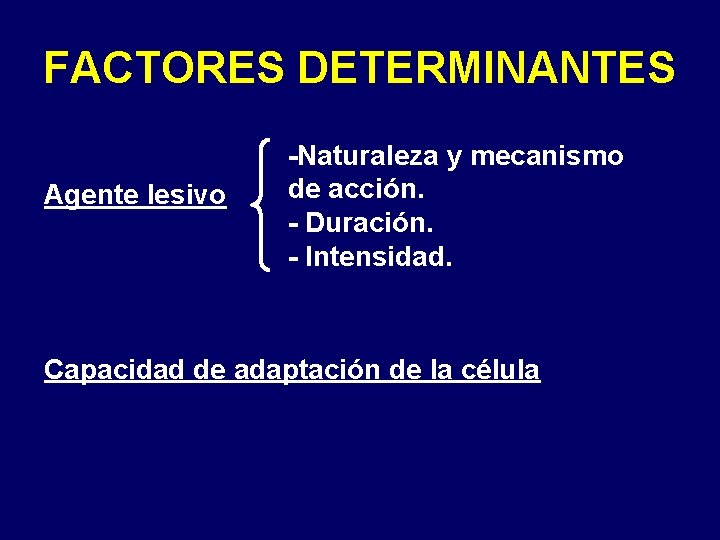 FACTORES DETERMINANTES Agente lesivo -Naturaleza y mecanismo de acción. - Duración. - Intensidad. Capacidad FACTORES DETERMINANTES Agente lesivo -Naturaleza y mecanismo de acción. - Duración. - Intensidad. Capacidad