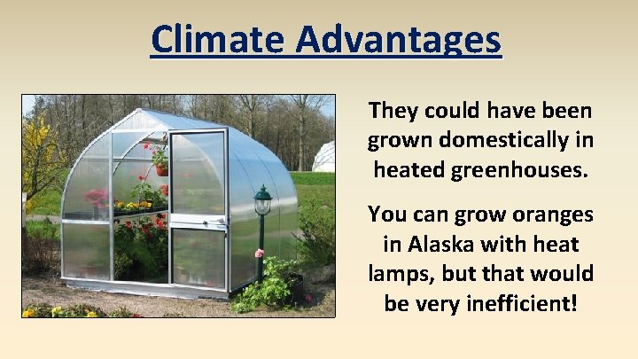 Climate Advantages They could have been grown domestically in heated greenhouses. You can grow