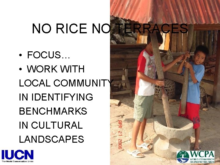 NO RICE NO TERRACES • FOCUS… • WORK WITH LOCAL COMMUNITY IN IDENTIFYING BENCHMARKS