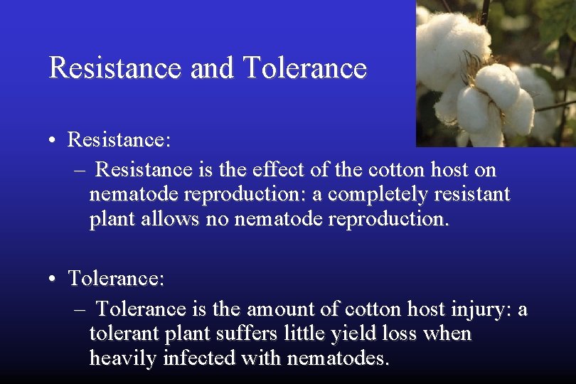 Resistance and Tolerance • Resistance: – Resistance is the effect of the cotton host