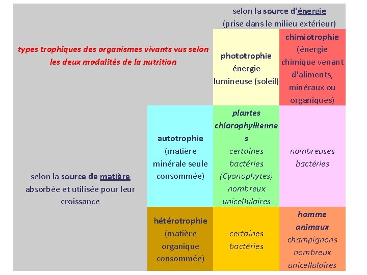 types trophiques des organismes vivants vus selon les deux modalités de la nutrition selon