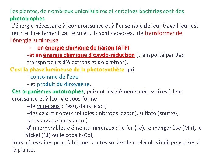 Les plantes, de nombreux unicellulaires et certaines bactéries sont des phototrophes. L'énergie nécessaire à