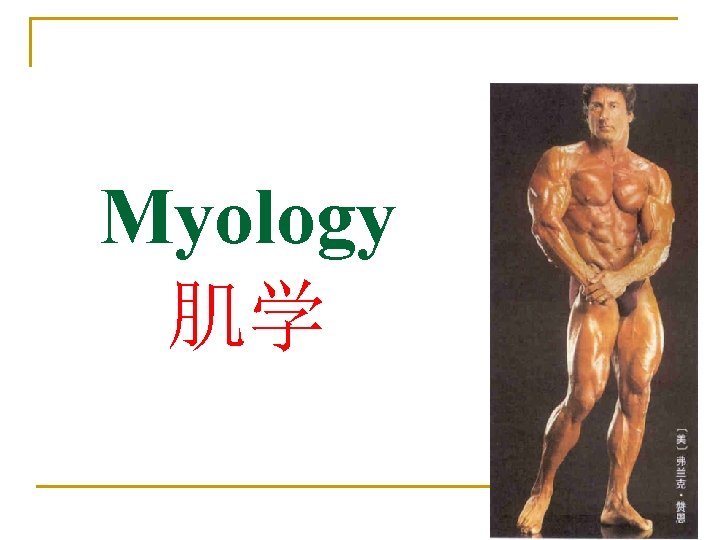 Myology 肌学 