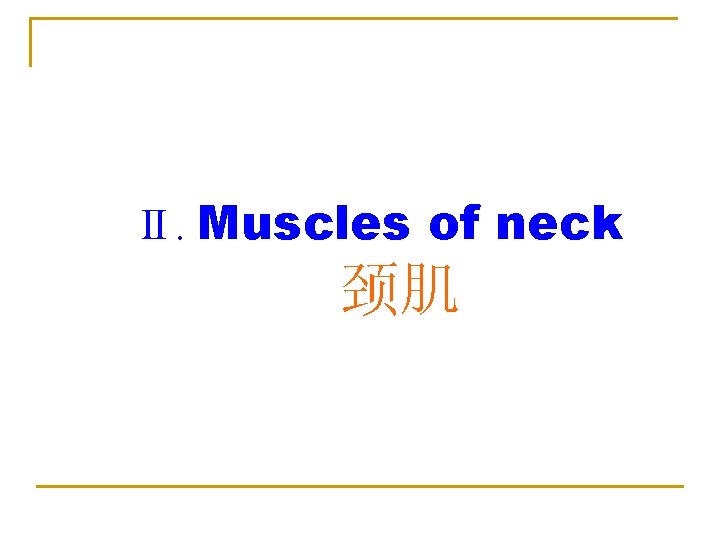 Ⅱ. Muscles of neck 颈肌 